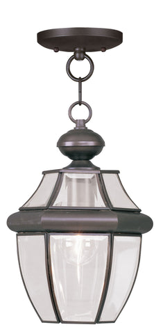 Livex Monterey 1 Light Bronze Outdoor Chain Lantern  - C185-2152-07