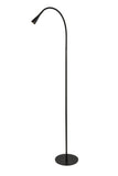 ZC121-LEDFL002 - Regency Decor: Illumen Collection 1-Light matte black Finish LED Floor Lamp